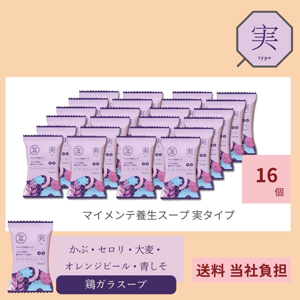 マイメンテ養生スープ　16個セット （スープ実）
