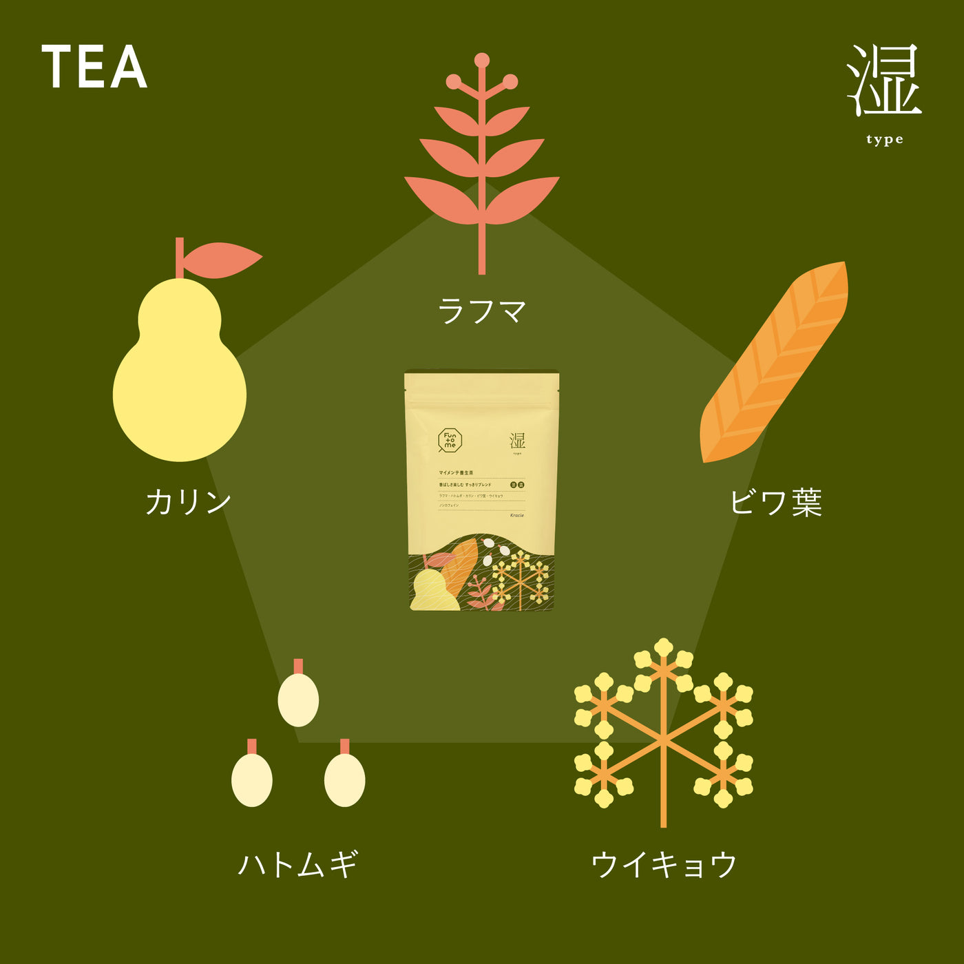 ライトコース（虚・熱・湿）